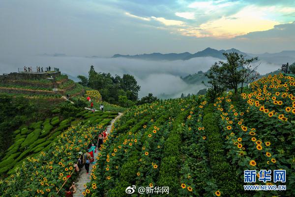 赛博朋克2077阿修罗可以在什么地方买
