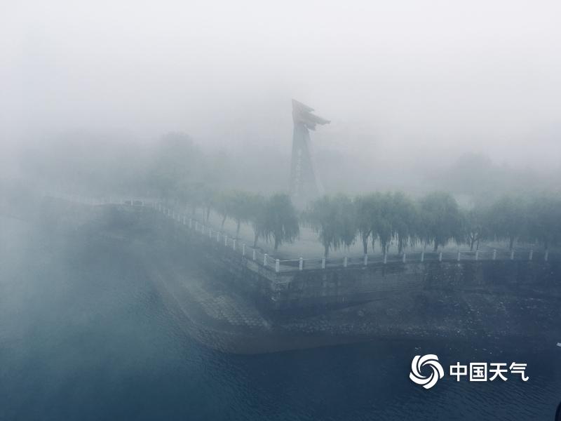 森林吃野人有什么负面效果