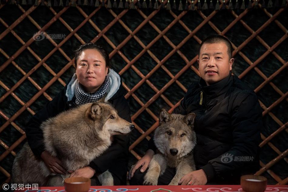 塞尔达传说旷野之息人马掉落的最强武器是什么
